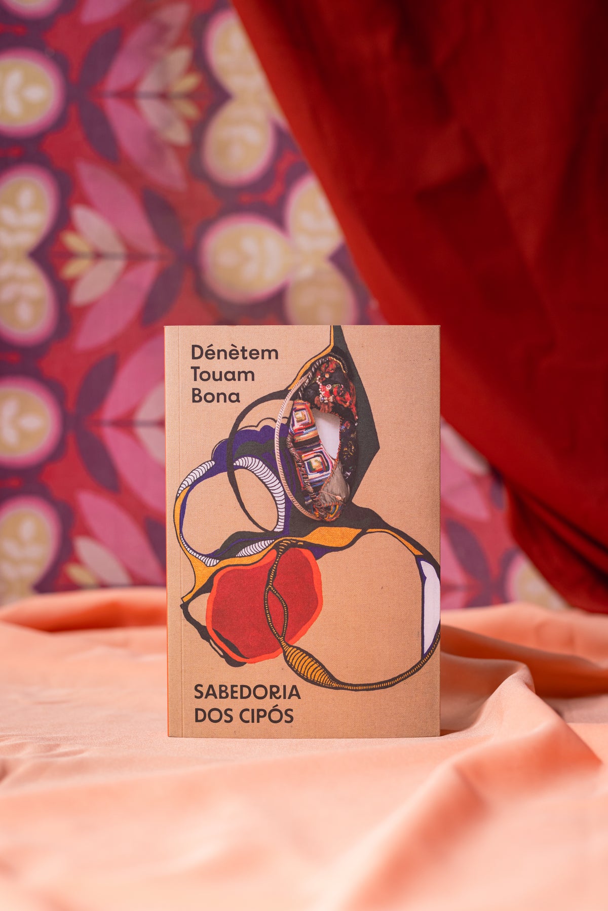 Livro A Sabedoria dos Cipós