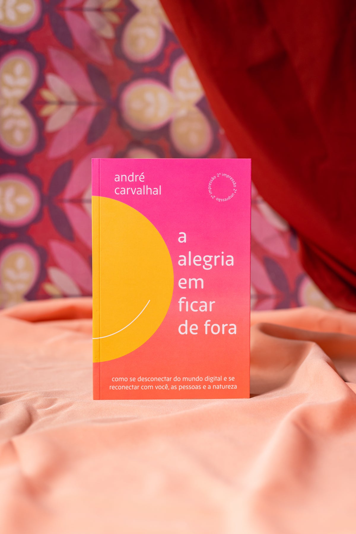 Livro A Alegria em Ficar de Fora