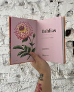 Dahlias - A Little Book of Flowers