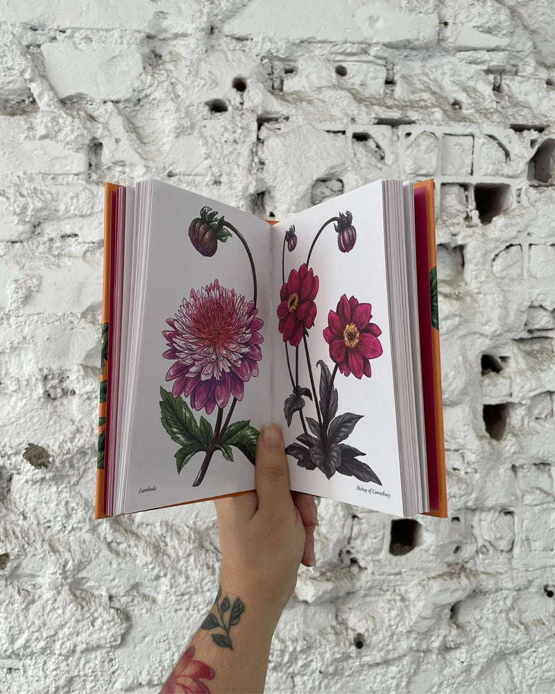 Dahlias - A Little Book of Flowers