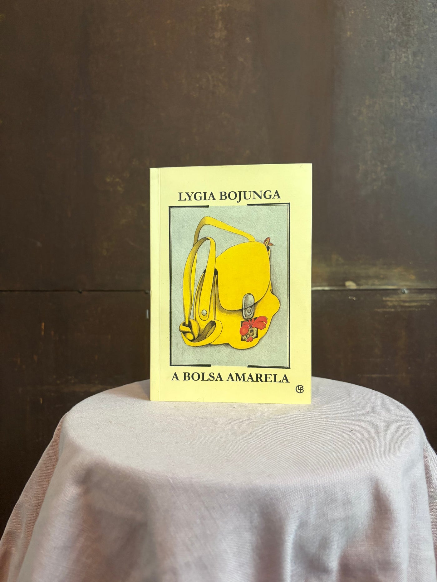 Livro A Bolsa Amarela