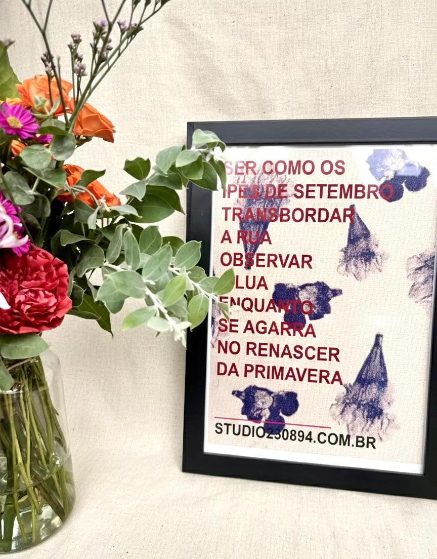 Kit Renascer na Primavera