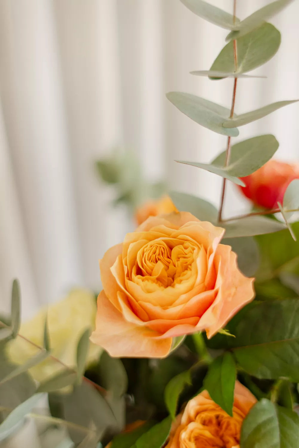 Arranjo Rosas do Jardim G
