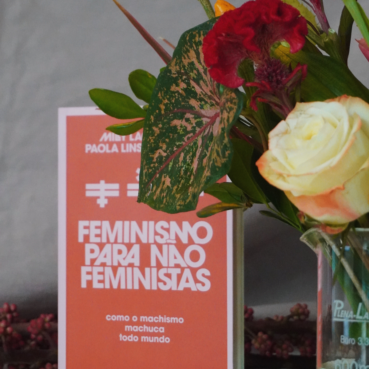 Livro Feminismo Para Não Feministas - Milly Lacombe e Paola Lins de Oliveira